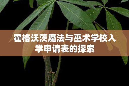 霍格沃茨魔法与巫术学校入学申请表的探索图片