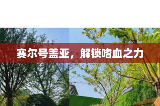 解锁嗜血之力图片