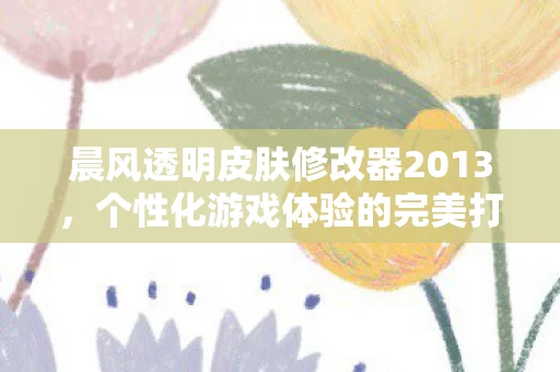 晨风透明皮肤修改器2013图片