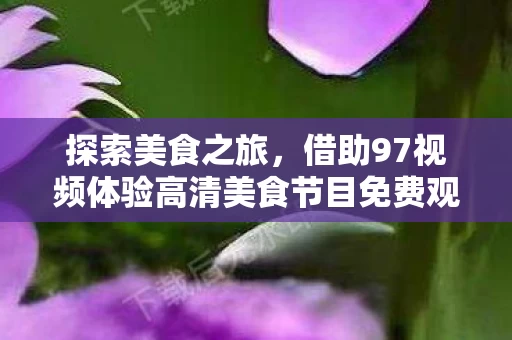 借助97视频体验高清美食节目免费观看与下载图片