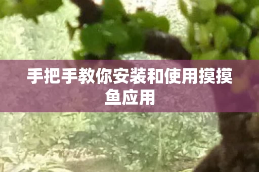 手把手教你安装和使用摸摸鱼应用图片