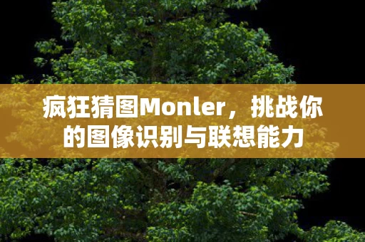 挑战你的图像识别与联想能力图片