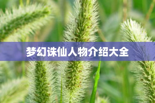 梦幻诛仙人物介绍大全图片