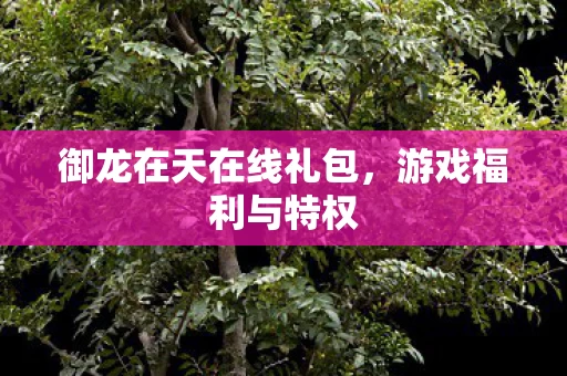 御龙在天在线礼包图片