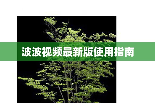 波波视频最新版使用指南图片