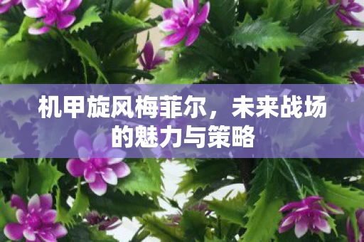 未来战场的魅力与策略图片