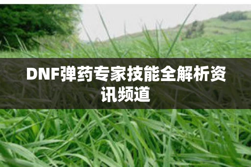 DNF弹药专家技能全解析资讯频道图片