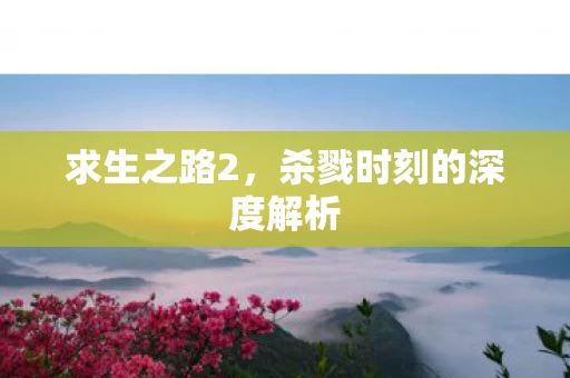 杀戮时刻的深度解析图片