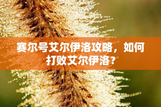 赛尔号艾尔伊洛攻略图片
