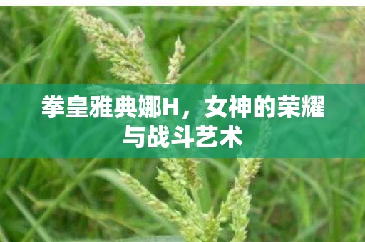 女神的荣耀与战斗艺术图片