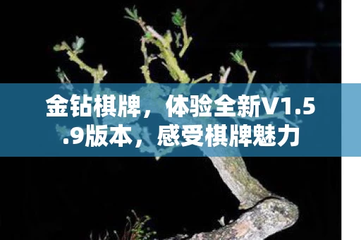 体验全新V1图片