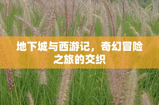 奇幻冒险之旅的交织图片
