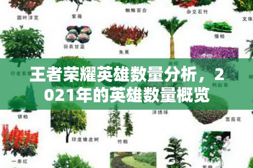 2021年的英雄数量概览图片