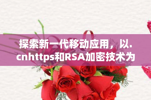探索新一代移动应用，以.cnhttps和RSA加密技术为驱动的移动应用体验升级