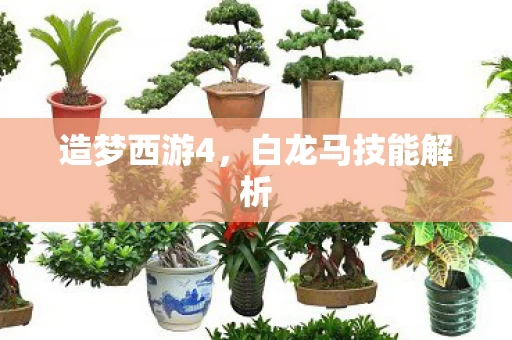 白龙马技能解析图片