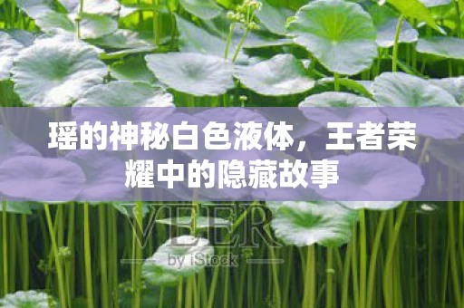 王者荣耀中的隐藏故事图片