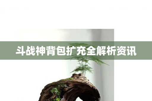 斗战神背包扩充全解析资讯 斗战神背包扩充全解析资讯