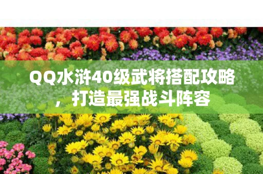 QQ水浒40级武将搭配攻略,打造最强战斗阵容 QQ水浒40级武将搭配攻略,打造最强战斗阵容