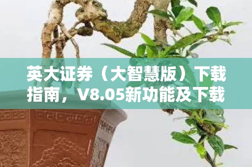 05新功能及下载步骤详解图片