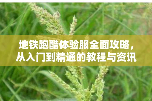 从入门到精通的教程与资讯频道图片