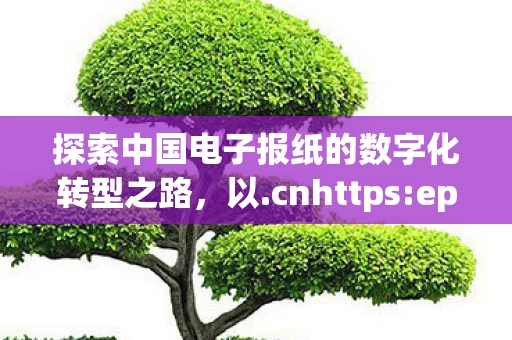 探索中国电子报纸的数字化转型之路图片