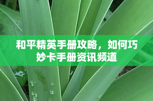 如何巧妙卡手册资讯频道图片