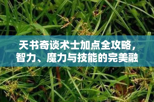 天书奇谈术士加点全攻略图片