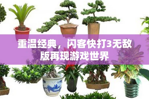 闪客快打3无敌版再现游戏世界图片