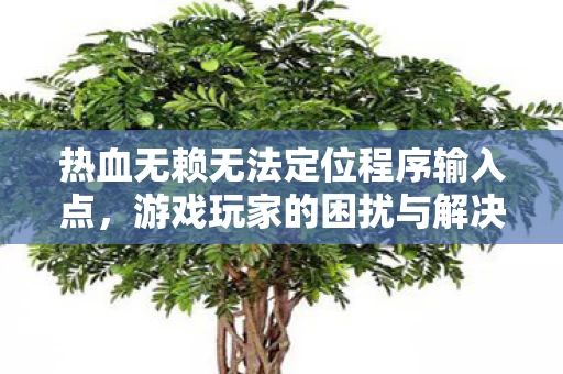 热血无赖无法定位程序输入点图片