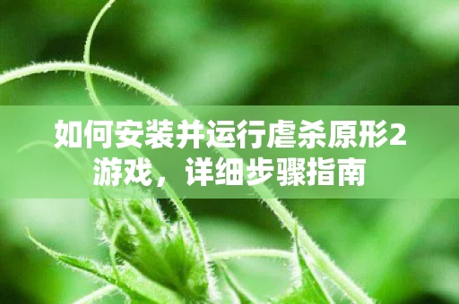 如何安装并运行虐杀原形2游戏图片