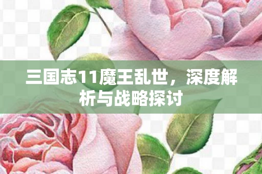 三国志11魔王乱世图片