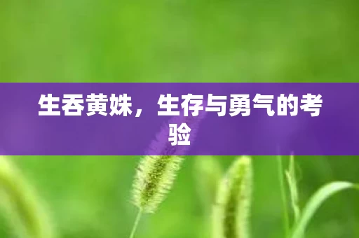 生存与勇气的考验图片