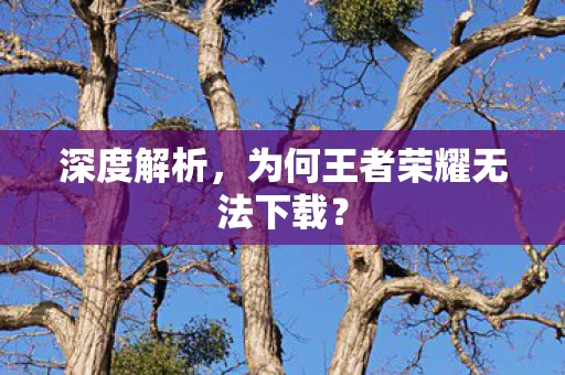 为何王者荣耀无法下载图片