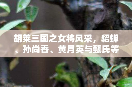黄月英与甄氏等杰出女性图片