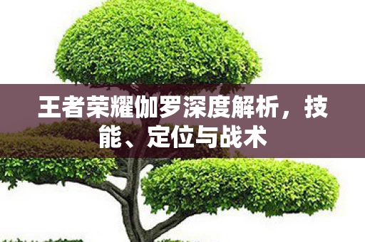 王者荣耀伽罗深度解析图片