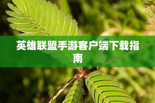英雄联盟手游客户端下载指南图片