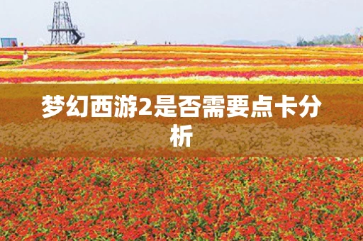 梦幻西游2是否需要点卡分析图片