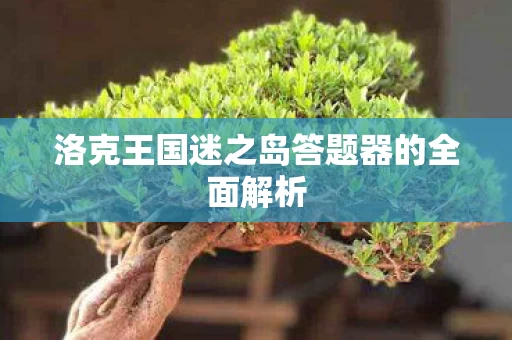洛克王国迷之岛答题器的全面解析图片