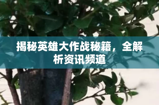 揭秘英雄大作战秘籍图片