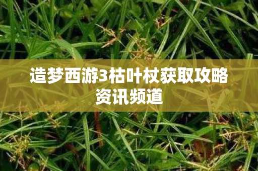 造梦西游3枯叶杖获取攻略资讯频道图片