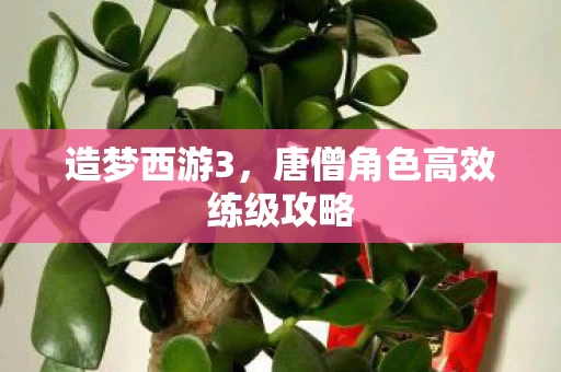 唐僧角色高效练级攻略图片