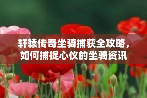 轩辕传奇坐骑捕获全攻略图片