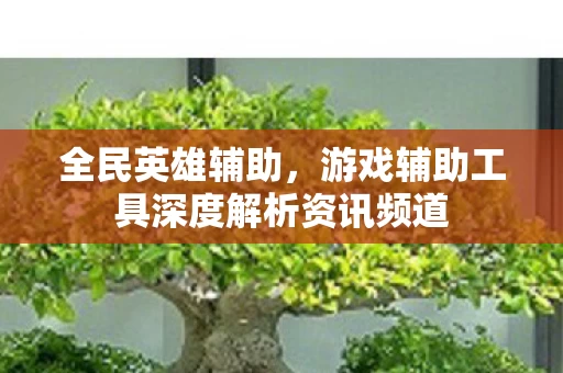游戏辅助工具深度解析资讯频道图片
