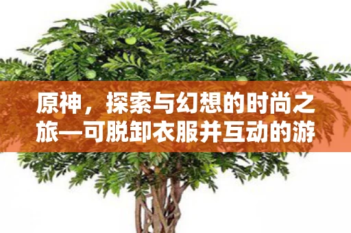 可脱卸衣服并互动的游戏体验图片
