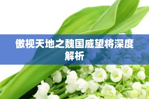 傲视天地之魏国威望将深度解析图片