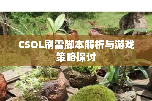 CSOL刷雷脚本解析与游戏策略探讨图片
