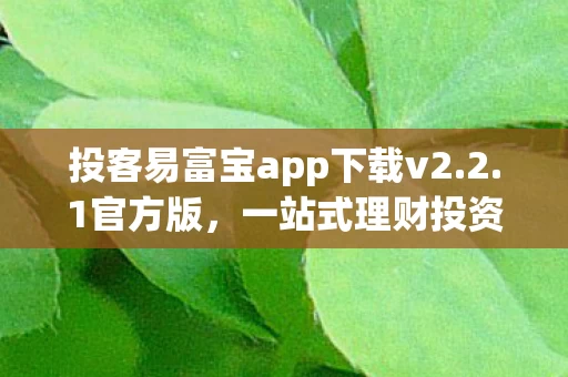 一站式理财投资平台的新选择图片