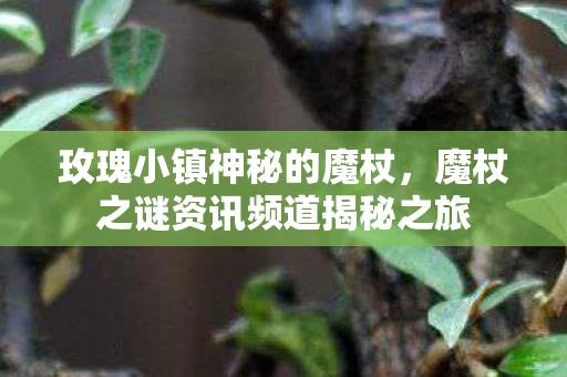 魔杖之谜资讯频道揭秘之旅图片