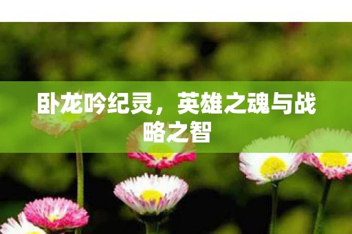 英雄之魂与战略之智图片
