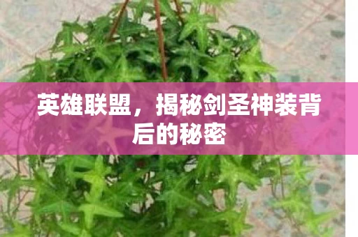 揭秘剑圣神装背后的秘密图片